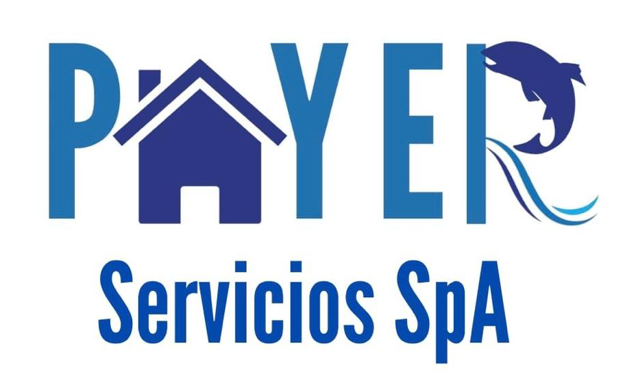 Payer Logo
